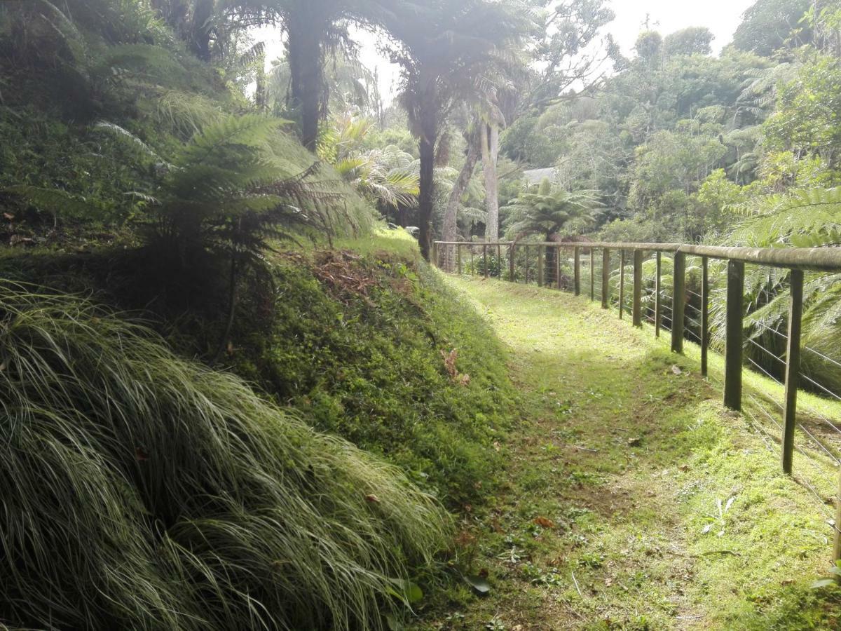 Taranaki Experience Apartment นิวพลีมัธ ภายนอก รูปภาพ